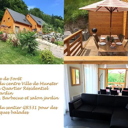 Le Chalet La Cigogne Et Le Chamois Munster  Exterior photo